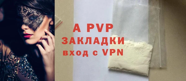 прущие грибы Ладушкин