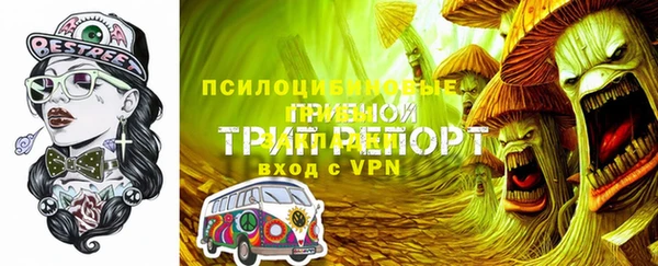 прущие грибы Ладушкин