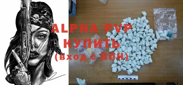 прущие грибы Ладушкин