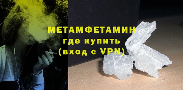 прущие грибы Ладушкин