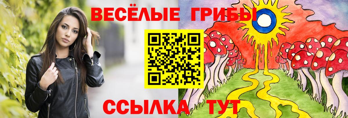 Галлюциногенные грибы Cubensis  Вход с VPN  Коломна 